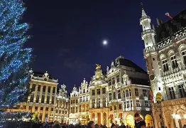 米兰体育-比利时乒乓球队强势德国乒乓球队,樊振东送出助攻的简单介绍