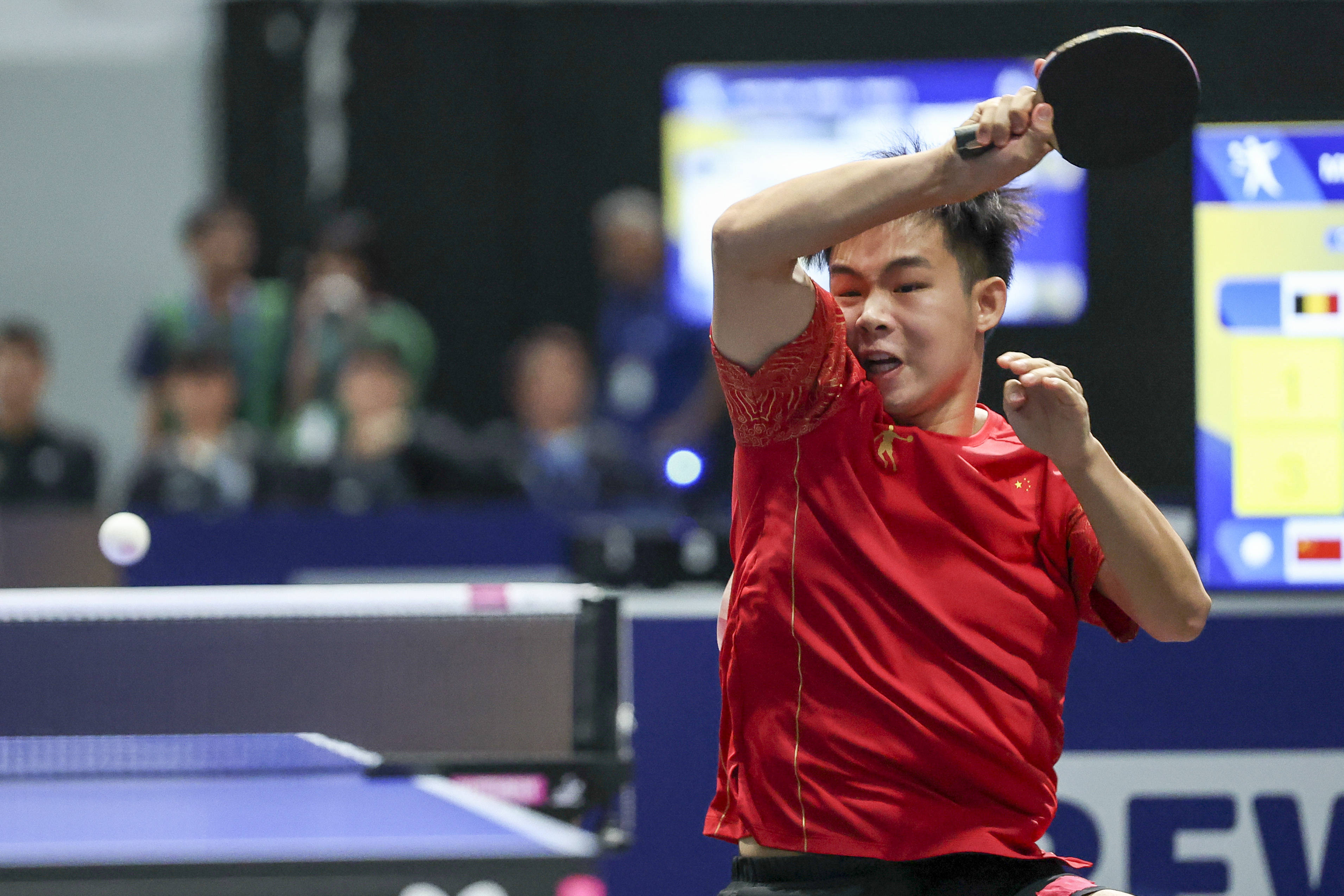 米兰体育app-比利时乒乓球队完胜波兰乒乓球队,波尔高光表现的简单介绍