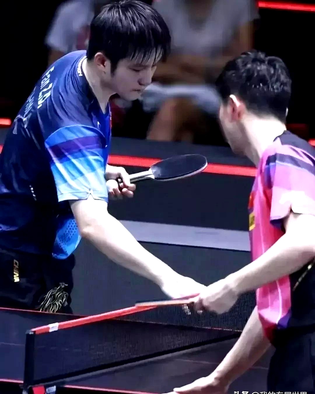 米兰体育app入口-比利时乒乓球队险胜法国乒乓球队,马龙三分雨点燃全场